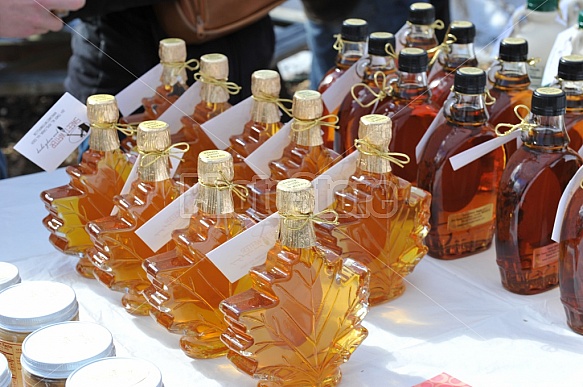 Maple Season