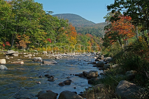 Mountain Stream