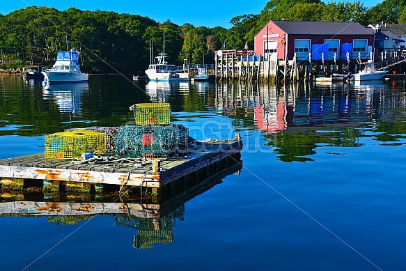 Maine Coast