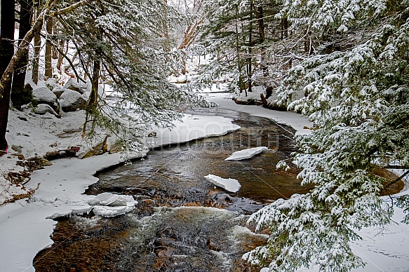 Winding winter river