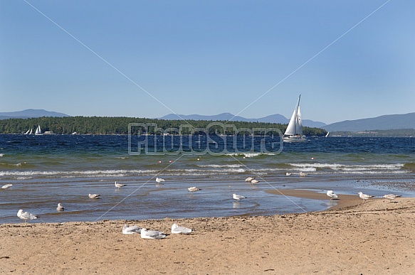 Sailboat On Lake