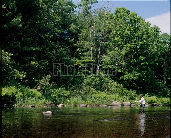 Man Fishing