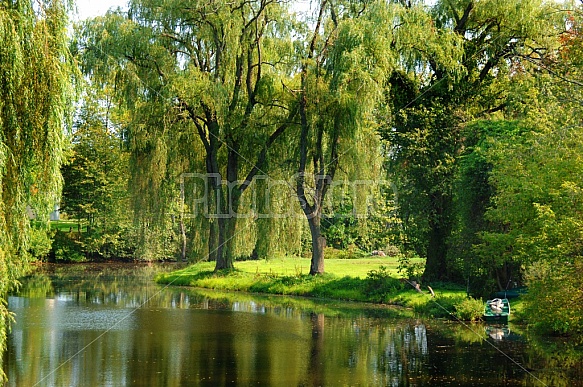 Summer along the river