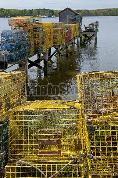 Lobster Traps