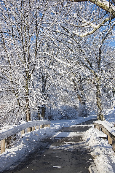 snowy country road