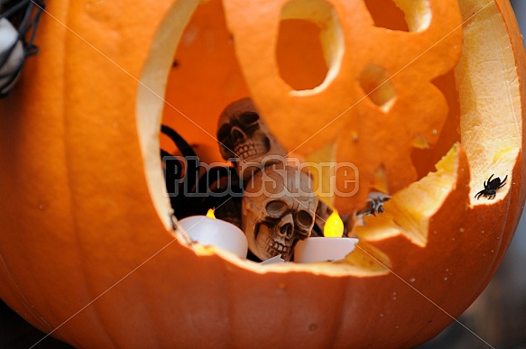 Halloween Displays