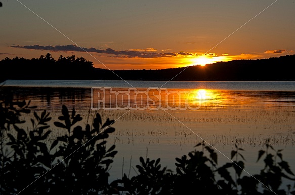 Lake Wentworth