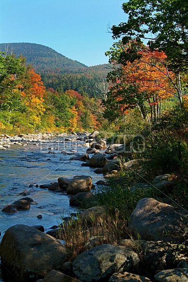 Mountain Stream