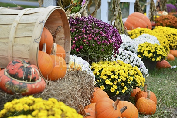 Fall Displays