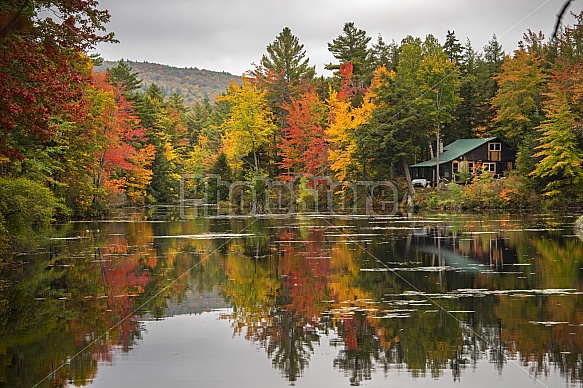 Autumn by the pond