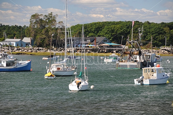 Boats In The Harbor