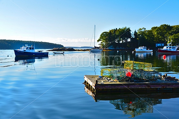 Maine Coast