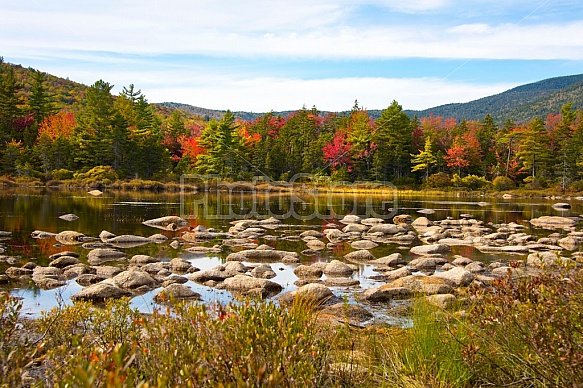 White Mountains