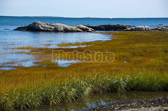 Odiorne State Park