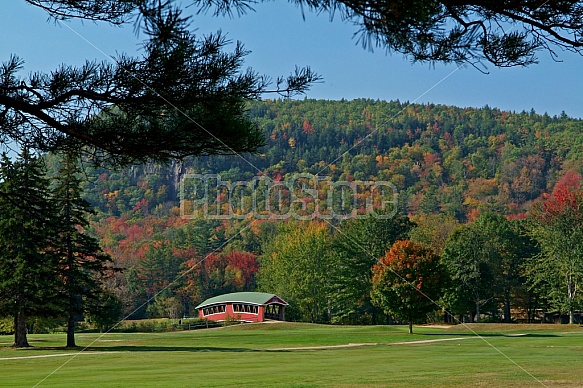 Covered Bridge