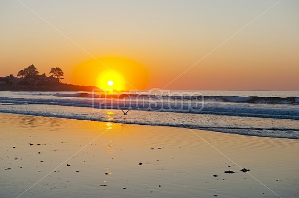 Beach Sunrise