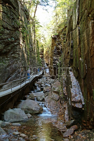 Flume Gorge