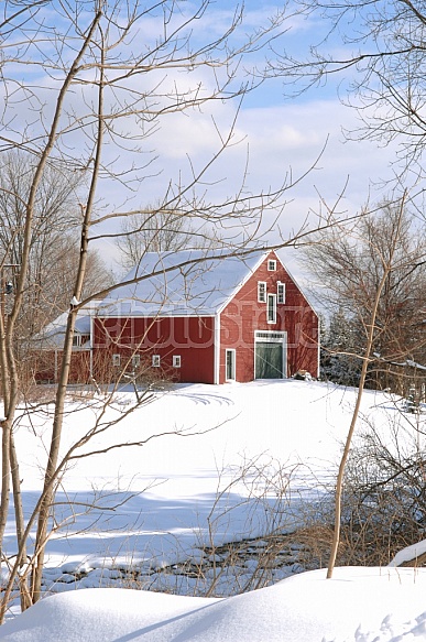 Red Barn In Winter