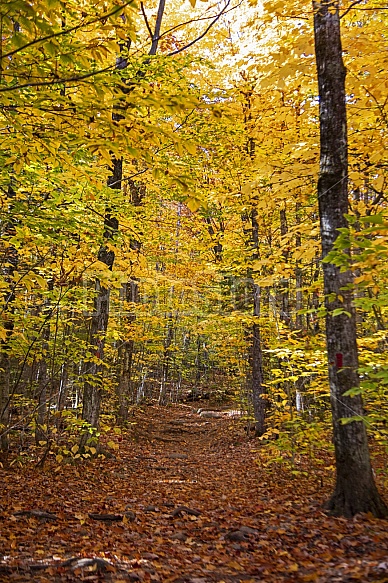 mountain path