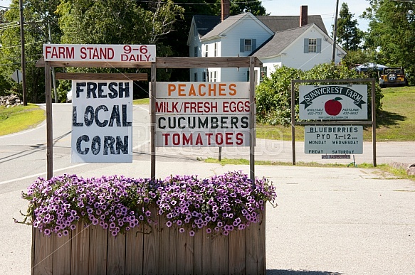 produce signs