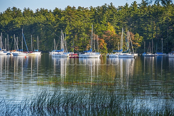 Lake Massabesic