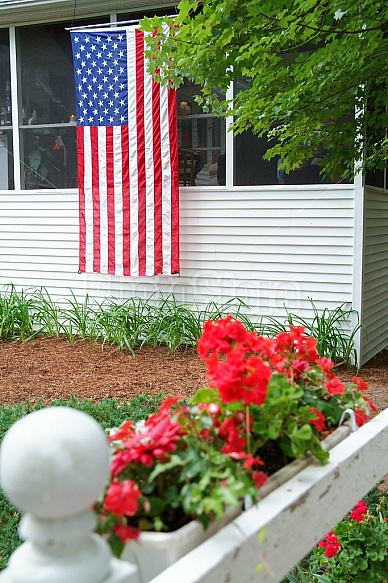 American Flag And Red Flowers