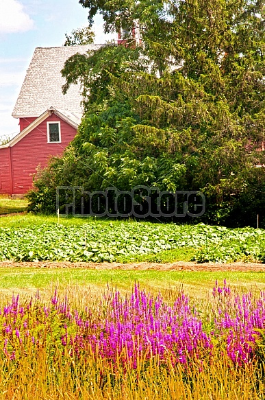 Farmland