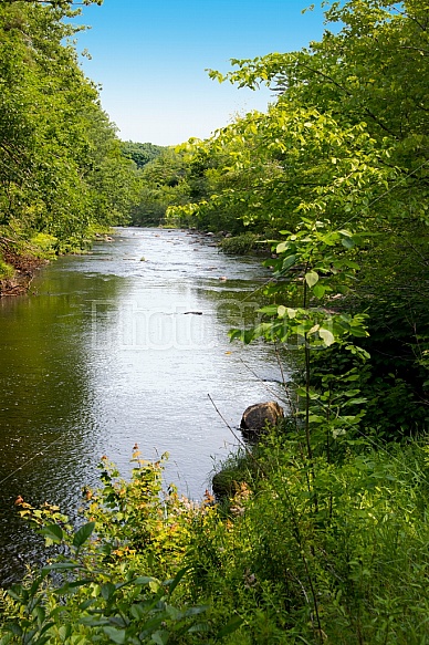 Summer River