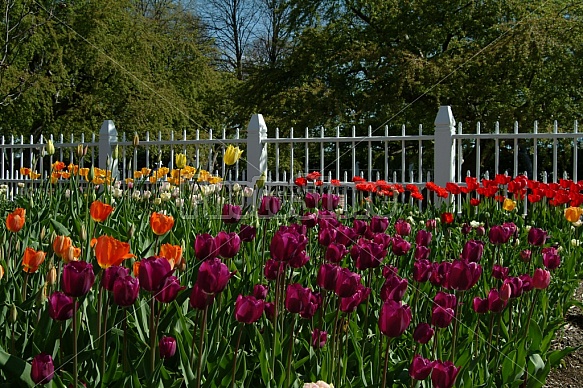 Prescott Park