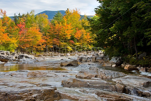 White Mountains