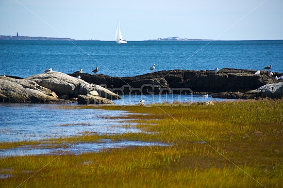 Odiorne State Park