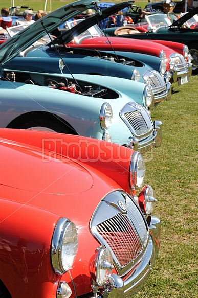 Auto Show