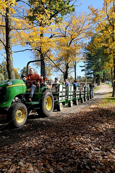 Tractor Rides