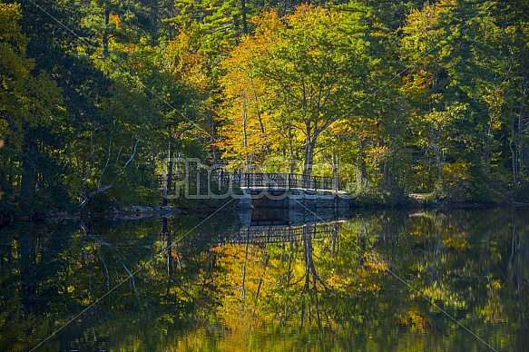 Chocorua Bridge