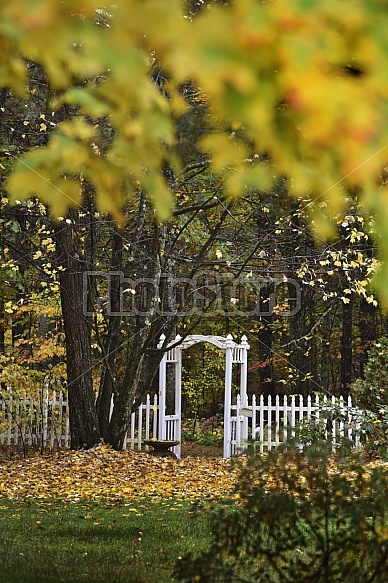 Arbor in the fall