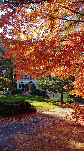 Fall Living