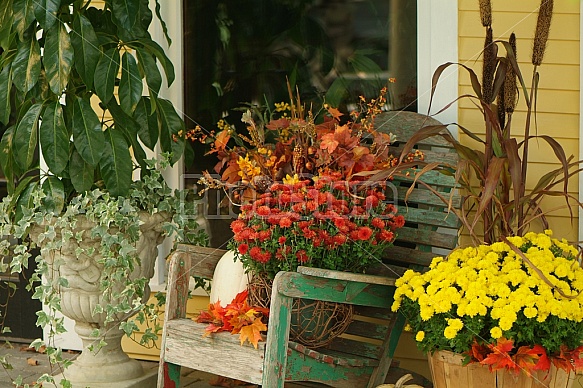 fall mums on porch