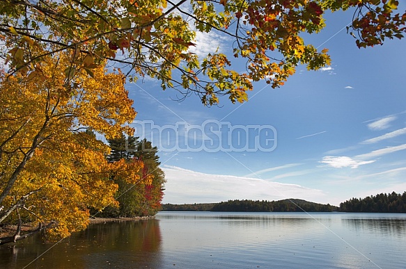 Maine Landscape