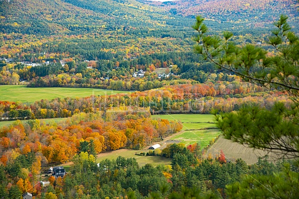 mountain views