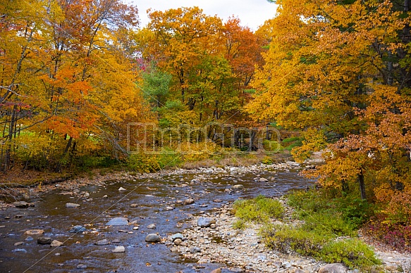 mountain stream