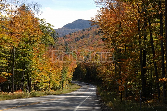 Scenic Roadway