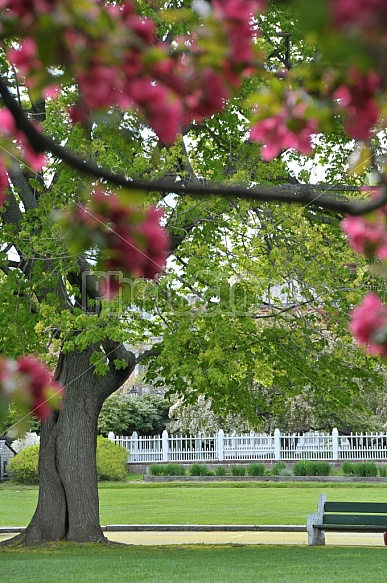 Spring In Prescott Park