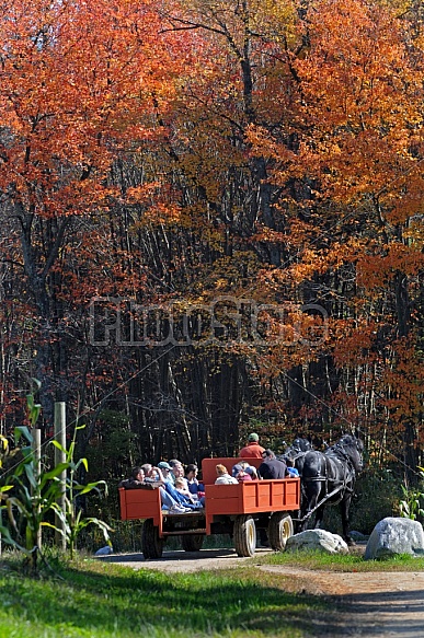 Autumn Hayrides
