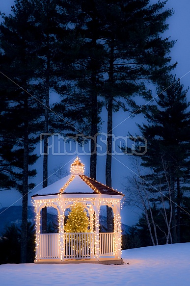 Winter Gazebo