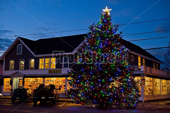 Christmas in Wolfeboro/Alton