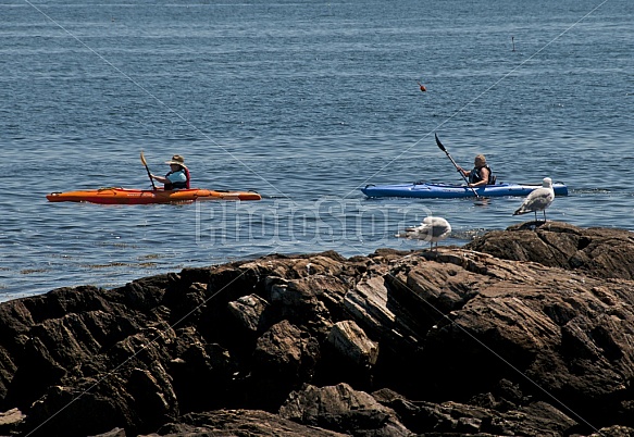 Summer Kayakers