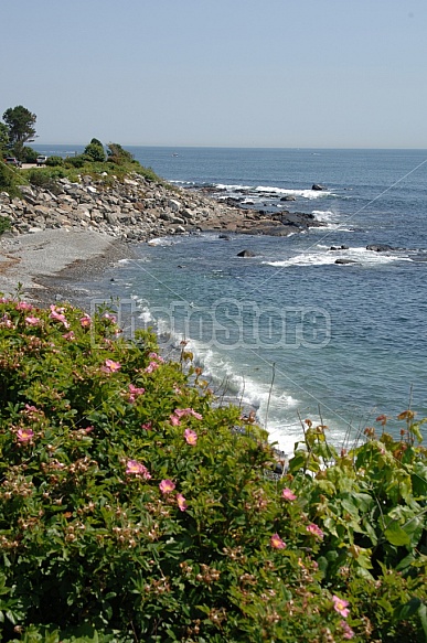 New Hampshire Coastline