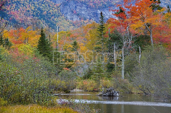 Mountain pond