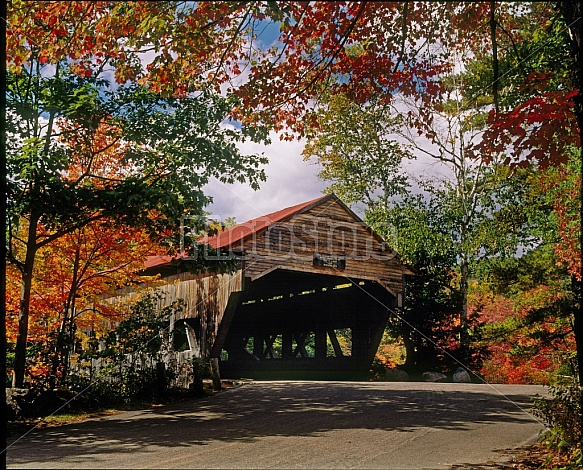 Albany Bridge