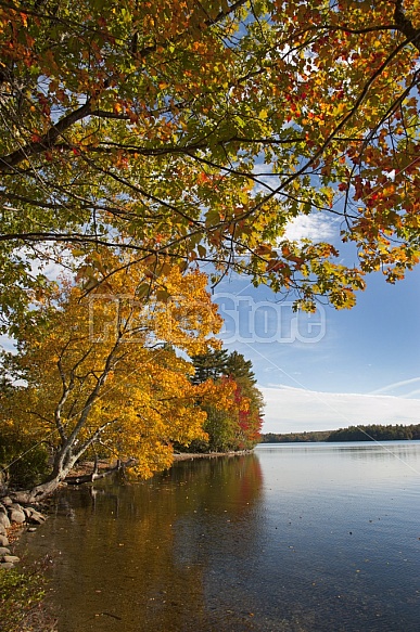 Maine Landscape